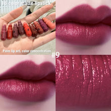 18 Colors Capsule Lipstick Set Matte